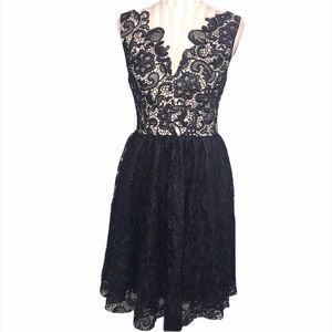 Clocolor Black Lace Dress Size M
